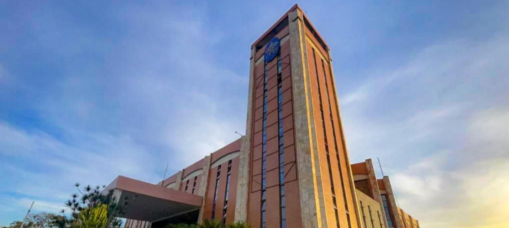 Dia de São Francisco de Assis na Basílica terá programação especial e bênção dos animais Dia de São Francisco de Assis na Basílica terá programação especial e bênção dos animais