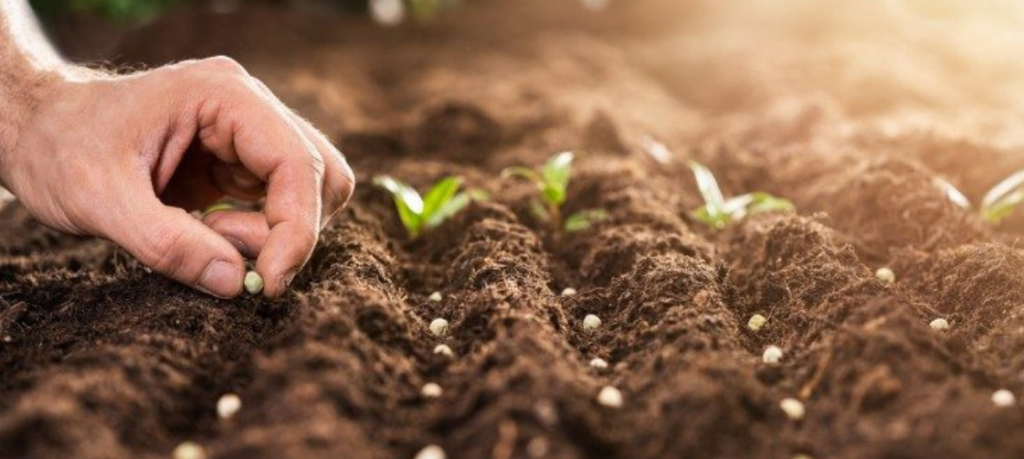 “Restarting the Economy”: encontro global refletiu sobre o retorno a uma “economia do suficiente” “Restarting the Economy”: encontro global refletiu sobre o retorno a uma “economia do suficiente”