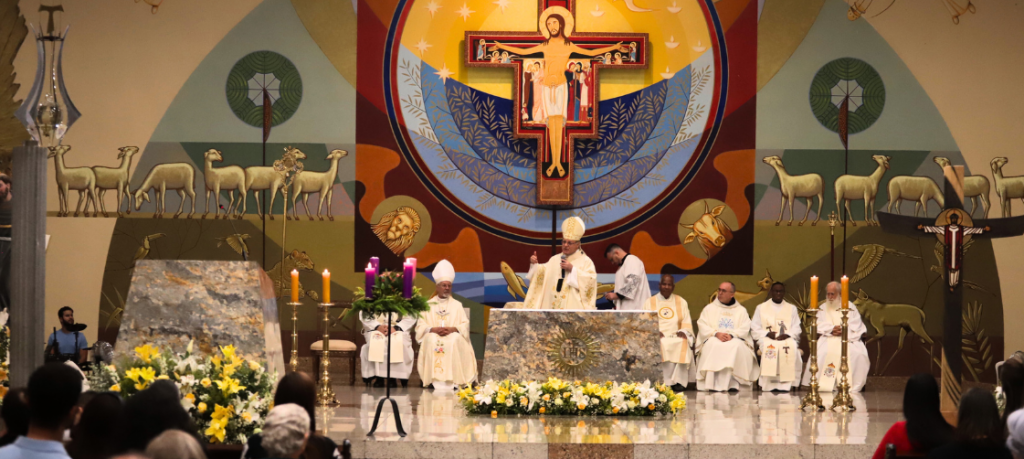 Cardeal Paulo Cezar celebra a Solenidade da Imaculada Conceição na Basílica Santuário São Francisco de Assis Cardeal Paulo Cezar celebra a Solenidade da Imaculada Conceição na Basílica Santuário São Francisco de Assis
