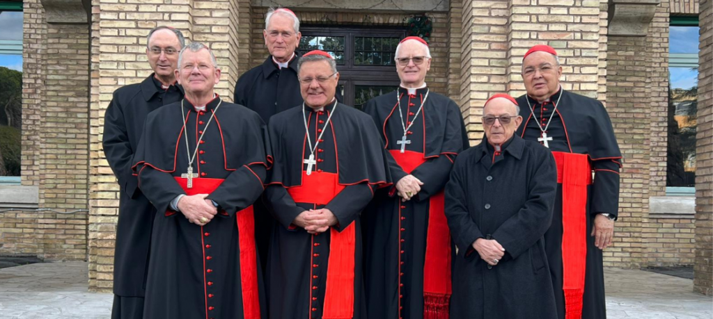 Cardeais brasileiros participam do Consistório extraordinário em Roma