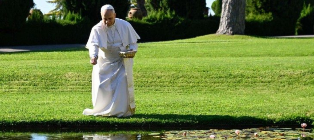 Papa presidirá Santa Missa pelo Cuidado da Criação em 1º de setembro